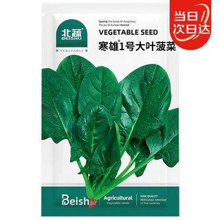 Beishu big-leaf spinach seed seedlings for sowing vegetables in winter and spring seasons hanxiong no. 1 big-leaf spinach seeds 200g