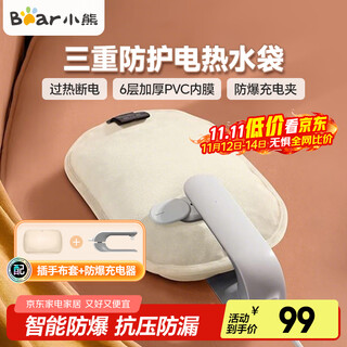 Bear rechargeable electric hot water bottle plug-in electric hot water bottle hot treasure girl plush warm baby warm hand and foot warm quilt new year gift