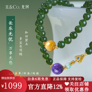 Il&co youke oriental tibetan spirit light luxury hetian jade necklace women's fashion birthday valentine's day gift for girlfriend and wife everything is worry-free jasper + duobao necklace