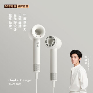 Olayks instant high-speed hair dryer home hair dryer negative ion upgraded plasma hair care student dormitory high wind high power low noise fast drying hair dryer gift gift upgraded 3.6 billion plasma free hair dryer with order