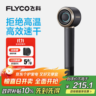 Flyco high-speed hair dryer birthday gift for home dormitory travel essential portable quick-drying negative ion hair care high-power hair dryer fh6371 interstellar black national subsidy