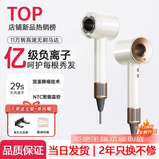 Leifen ruiyue hair dryer home silent negative ion high power hair dryer hair dryer home hair salon constant temperature hair care series special for men and women hair styling ceramic white - single nozzle billion-level hydrating negative ions constant temperature hair care cable 1.7 meters gift box