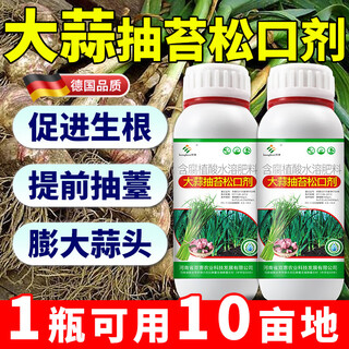 Garlic regreening and bolting fertilizer, garlic bolting loosening agent and enlarging agent, special fertilizer for garlic bolting and rooting agent, 1 bottle*500g