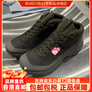 Arc'teryx (arc teryx) arc'teryx aerios mid gtx mid-top waterproof outdoor hiking shoes 6887 tatsu/foragbe 42.5 size 8uk 265