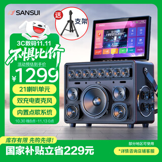 山水（SANSUI）A32户外k歌专用 家庭ktv音响套装 卡拉ok一体机 家用唱歌全套设备移动智能蓝牙吉他民谣乐器音箱
