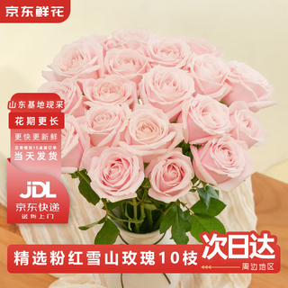 Jingdong flowers pink snow mountain roses 10 ruyi base fresh cut flowers water-raised flower arrangement life bouquet straight from the source