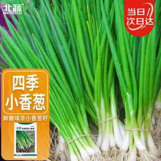 Beishu four seasons chive seeds green onion seedlings home planting potted vegetable seeds four seasons chive seeds 1000 capsules