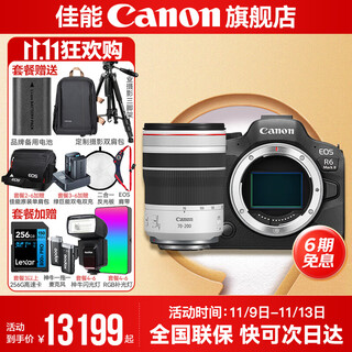 Canon r6 bird hunting photography equipment full-frame mirrorless vlog camera body 4k shooting small lightweight mirrorless camera place an order for labubu & jindou r6 second generation single charter + rf70-200f4l usm official standard package does not include memory cards, camera bags and other necessary accessories. recommended package
