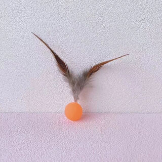 Cat toy caterpillar bouncy ball kitten cat self-enjoyment relief pinball funny cat stick kitten pet cat toy ball random color 1 pack luminous feather bouncy ball