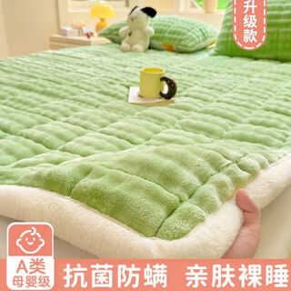 Fantasy thickened rabbit velvet milk velvet bed cover for autumn and winter plus velvet quilted tatami sheet single baby velvet bed blanket mattress upgraded model - lime green a-grade maternal and infant used to remove mites and antibacterial bed sheet type bed cover single piece 200x220cm suitable for 2m bed