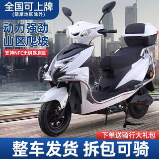 Feiye 2025 new god of war 3000 watt 96v electric motorcycle high power mountain climb king takeaway new energy battery car taff white equipped with guardrail tail box + nfc card to start 96v38a3000w climb king 8 black gold batteries