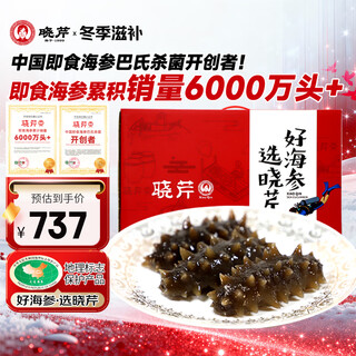Xiaoqin dalian ready-to-eat sea cucumber 1000g 16-24 pieces liao sea cucumber seafood aquatic products sea cucumber gift box