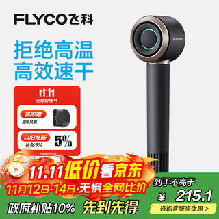 Flyco high-speed hair dryer birthday gift for home dormitory travel essential portable quick-drying negative ion hair care high-power hair dryer fh6371 interstellar black national subsidy