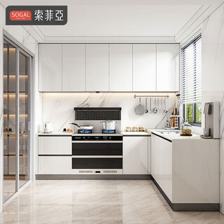Sophia cabinets are customized for the whole house. modern and simple integrated kitchen cabinet decoration. quartz stone countertops, stove and cupboards. measurement reservation fee.