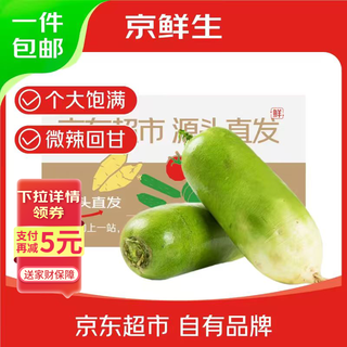 Jingxiansheng shandong fresh sandy green radish, net weight 4.5jin jin is equal to 0.5kg, packed, single fruit is about 300g+, fresh vegetables, sent directly from the source