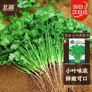 Beishu small-leaf coriander seed seedlings fragrant coriander four-season vegetable seeds hansheng no. 1 small-leaf coriander seeds 250g
