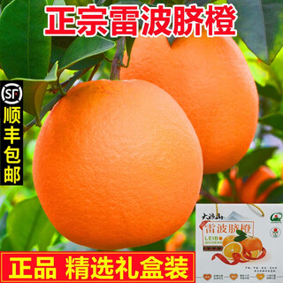 山疆果园大凉山雷波脐橙【顺丰-送货上门】现摘四川纽荷尔脐橙子 净重5斤 【20%选择-较划算】 精品小果 60mm-70mm(不含)