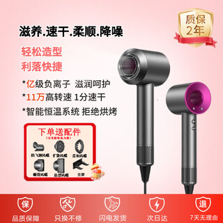 Selected leifen hair dryer home silent negative ion high power hair dryer hair dryer home constant temperature hair care series hair salon new high wind hair dryer rose red comes with stand cord length 1.8 meters
