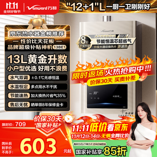 Vanward small universe 13be1 15% national subsidy 13 liters of gas water heater natural gas water gas dual-adjustable constant temperature household gas-saving anti-freeze forced exhaust type trade-in