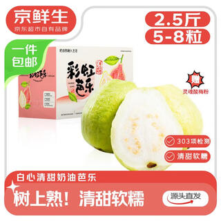 Jingxiansheng tree-ripened soft and waxy cream guava, net weight 2.5jin jin is equal to 0.5kg, single fruit 150g+ guava, straight from the source