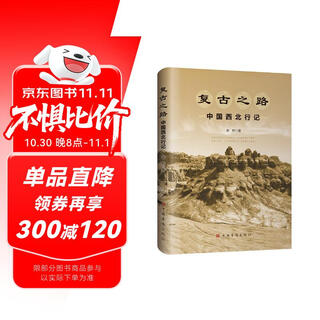 复古之路：中国西北行记（知名青年探险家姜野 著 徒步骑行探访 中华文明 历史 旅游 游记 西北旅行）
