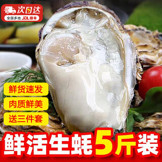 Bai xian qiaoxing fresh oysters are delivered fresh and delivered extra large oysters in shells raw sea oysters fresh seafood aquatic products party barbecue 90% selection 4xl with box 5jin jin equal to 0.5 kg (about 10-13 pieces)