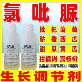 Baofeng chlorpyuron plant growth regulator grape special growth regulator regulating drug chlorpyuron genuine 100g*3 bottles small bottle economical package
