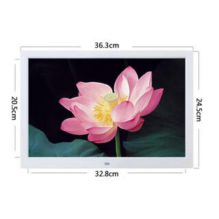 震荡波15英寸数码相框电子相册广告机7/8/10/12/17英寸视频照片音乐摆台商超广告自动播放 15英寸超清_(32G_U盘)