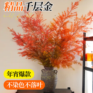 Linya melaleuca gold flowers hydroponic green plant yunnan base fragrant willow fresh-cut flower potted indoor dried flower bouquet flower arrangement melaleuca gold red 1-1.1 m 2-5 branches