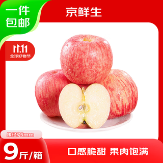 Jingxiansheng shandong yantai red fuji apple net weight 9jin jin is equal to 0.5kg fruit diameter 75mm+ fresh fruit straight from the source