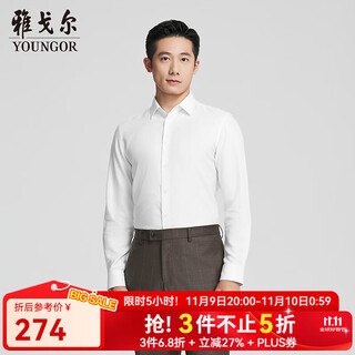 雅戈尔（YOUNGOR）长袖衬衫男DP免烫衬衫平整柔软细腻舒适透气抗皱商场同款 本白提花YLDP115514BFY 40
