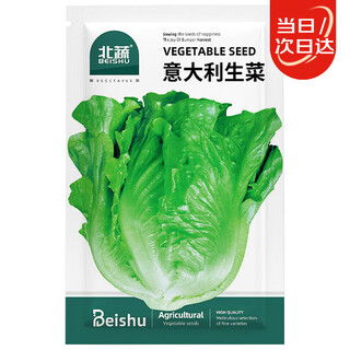 Beishu italian lettuce seed seedlings, four-season fast-growing balcony vegetable seeds, italian lettuce seeds 3g, about 1800 pieces