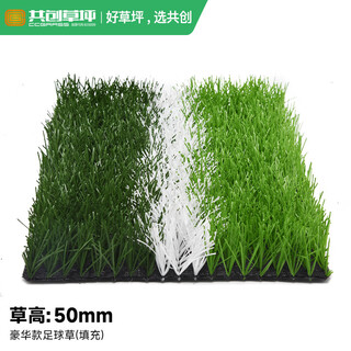 Co-create turf artificial turf courtyard kindergarten golf simulated turf garden gym school rooftop false lawn villa 50mm luxury football grass (filled)