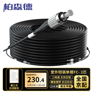 柏森德 室外单模铠装成品光缆 2芯FC-FC 200米 两芯家用光纤线入户架空免熔接 BSD-2X4T-FC200