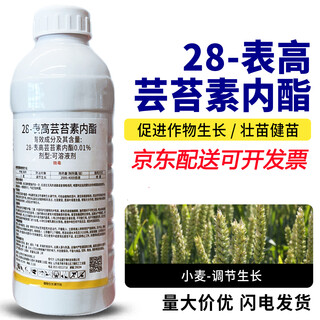 28 table high brassinolide plant growth regulator flower and fruit tree yuntai lactone foliar fertilizer pesticide 500ml