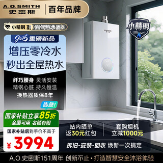 Smith (a.o.smith) garnet small fine steel tja1 16-liter supercharged zero cold water gas water heater jsq31-tja1 national subsidy small volume new product