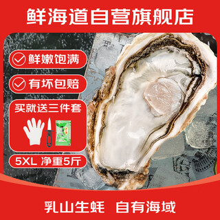 Fresh seaway fresh rushan oysters 5xl net weight 5jin jin is equal to 0.5kg 9-12 pcs fresh seafood and shellfish straight from the source