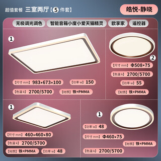 Opple lighting (opple) simple modern rectangular living room lamp bedroom study energy-saving office lamp three bedrooms and two living rooms ceiling haoyue jingxiao-ceiling package