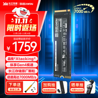 致态ssd固态硬盘Ti600长江存储原厂颗粒 NVMe M.2接口 PCIe 4.0笔记本台式电脑游戏PS5固态硬盘 【4TB】 Ti600固态硬盘