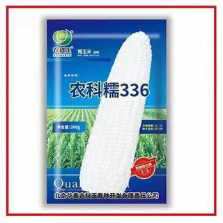 Academy of agricultural sciences 336 sweet waxy corn seed high yield and disease resistant 200g*5 pack