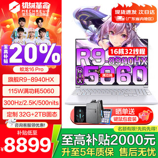 Mechanical revolution (mechrevo) dragon 16pro 2025 ryzen r9hx gaming notebook rtx5070ti/5060/5050 trendy version 16-inch college student design laptop 16 large core r9-8940hx 5060丨32g 2