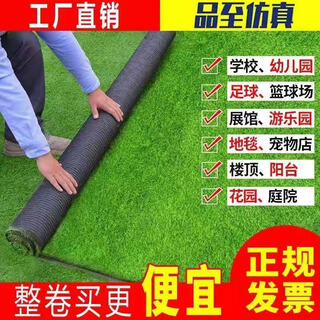 Simulated lawn green space soundproof sun room insulated balcony layout yard indoor kindergarten fake lawn fruit mat 2 cm thickened spring grass 2 meters wide * 25 long