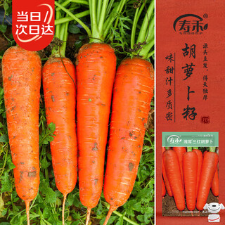 Shouhe carrot seed seedlings, three red hearts, seven-inch ginseng, winter and spring vegetable seeds, three red carrot seeds, 20g, about 10,000 pieces