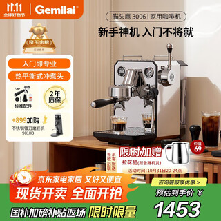 Gemilai government subsidy espresso machine for home small office semi-automatic g3006 mercury mirror silver
