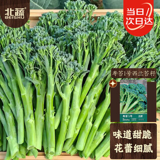 Northern vegetable broccoli seed seedlings family western kale spring vegetable seeds shou moss no. 1 broccoli seeds about 100