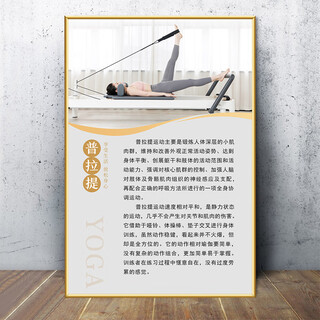 Liu buding yoga studio wall decoration layout painting pilates studio postpartum body shaping promotional poster gym 15-pilates 40 width x 60 height cm pp adhesive sticker painting without board