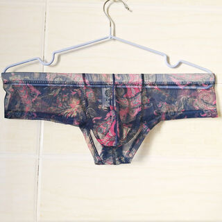 2 pieces of men's printed large pouch sexy boxer briefs u convex transparent mesh thong half hip coverage sports narrow hips royal blue one size large s2-2 points 3 feet