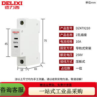 Shantou lincun delixi electric dz47x modular socket ac30 rail power supply strong lighting box distribution box socket modular socket 2 holes 10a