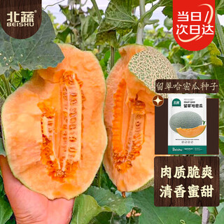 Beishu hami melon seed seedlings xinjiang reticulated melon melon melon fruit seeds liucui hami melon seeds 100 capsules