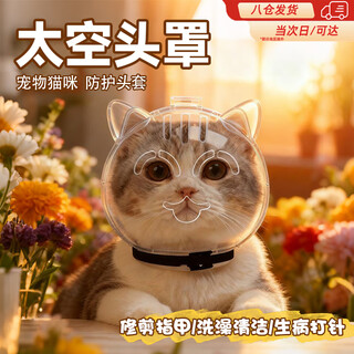 Oimg cat hood cat hood clipper nail anti-scratch artifact anti-biting and anti-licking hood elizabethan circle bath artifact m size hood suitable for 5-9 jin jin equals 0.5 kg kitten
